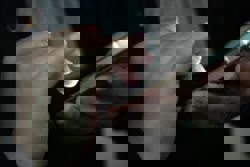 How Iranians are communicating through internet blackout