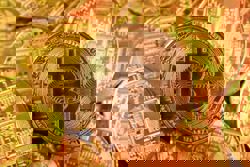 Citigroup cuts 12-month bitcoin, ether targets as US crypto legislation stalls