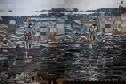 China calls for restraint after Pakistani strikes in Kabul