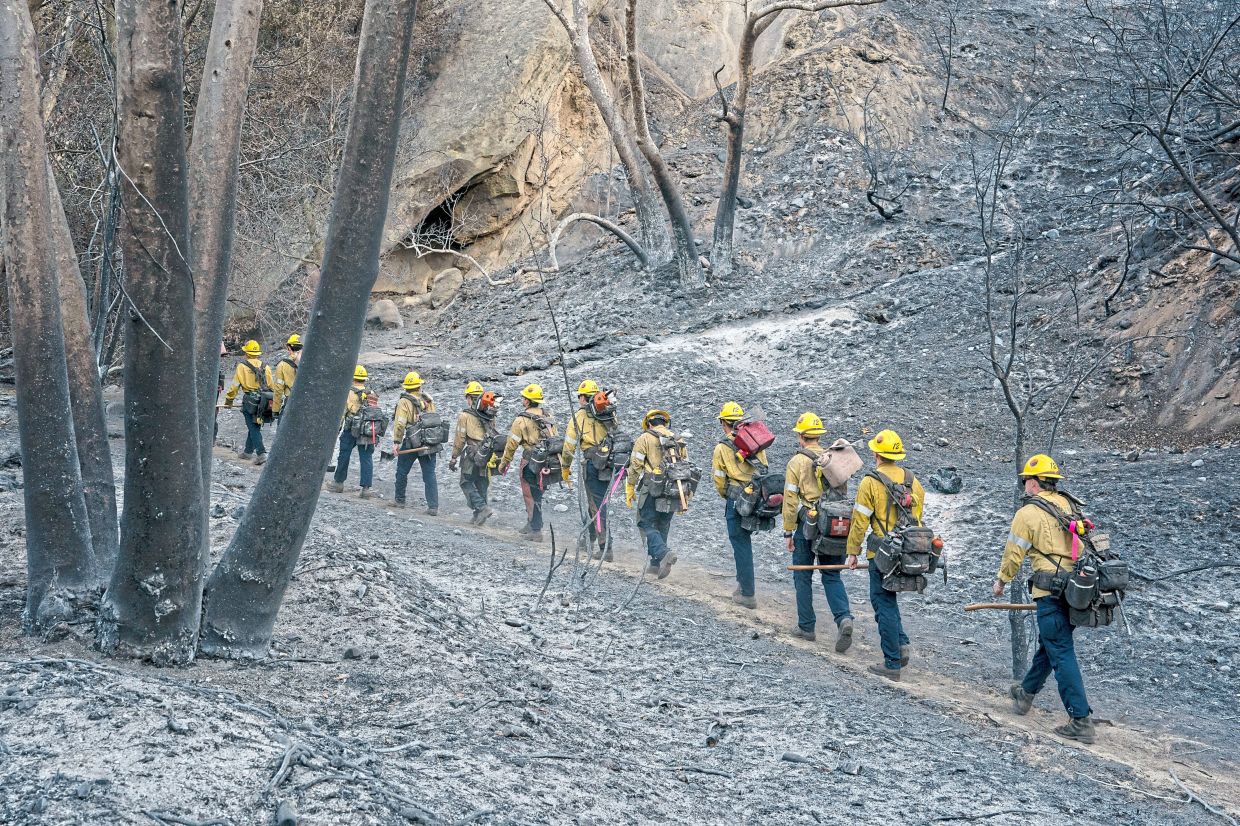 Sorry! Image not available at this time