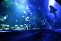 Aquawalk signs 30-year lease for Aquaria KK project