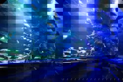 Aquawalk signs 30-year lease for Aquaria KK project