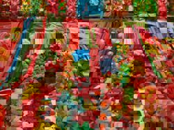 'This is one sweet heist': 15 tonnes of gummies stolen from a lorry parked neat motorway