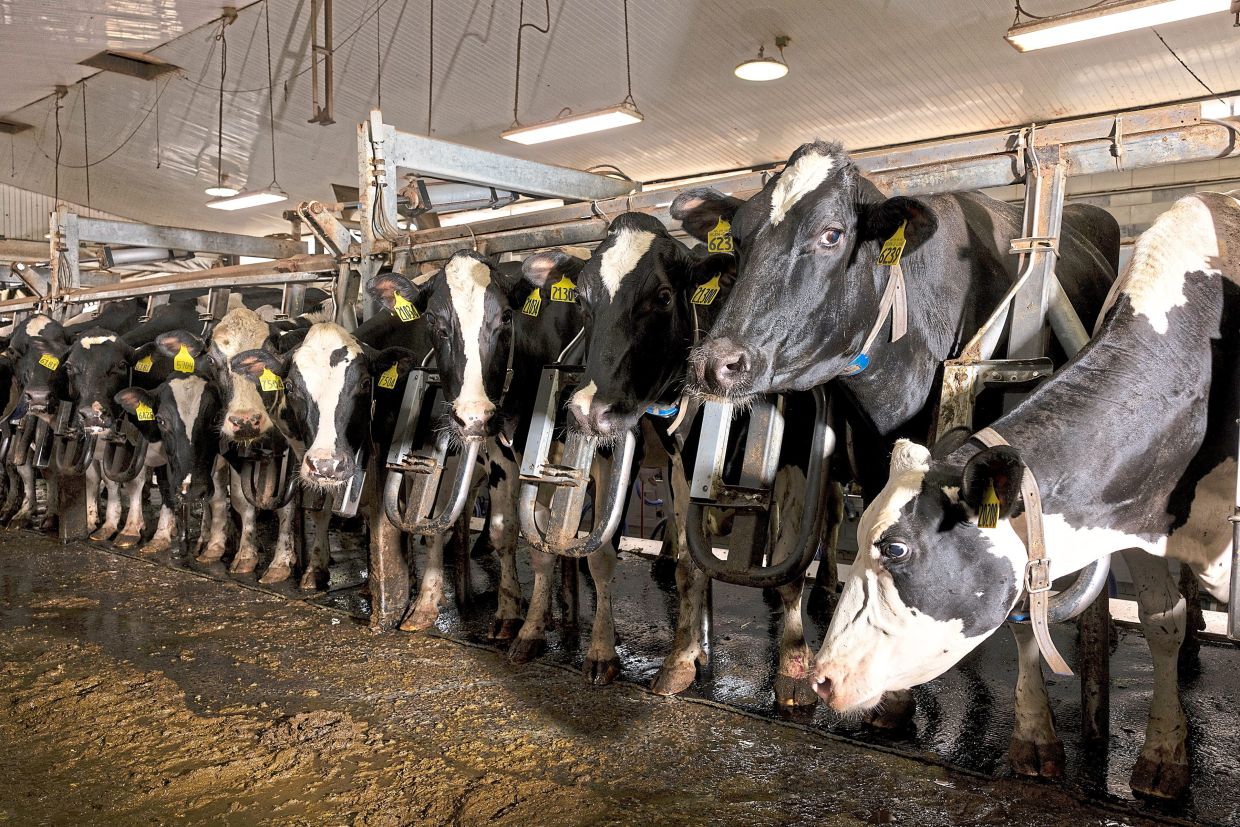 Sorry! Image not available at this time