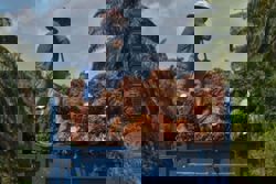 CPO prices to stay above RM4,450 per tonne in near term amid geopolitical uncertainties - MPOC