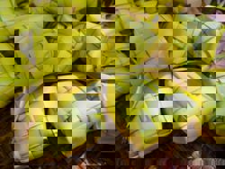 QuickCheck: Is ketupat better for your blood sugar than white rice?