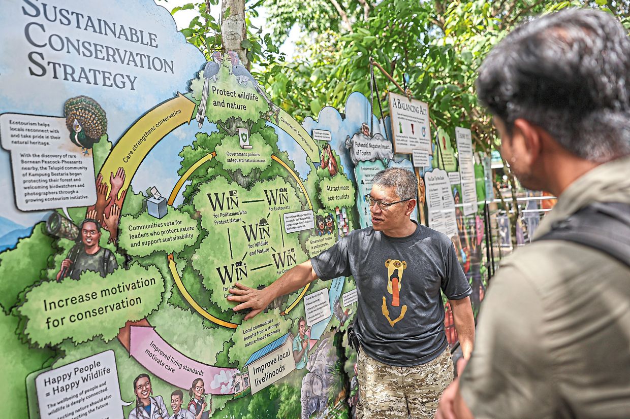 Small wins: Wong said the VM2026 mascot campaign represents a long-overdue victory for the species. — Bernama 