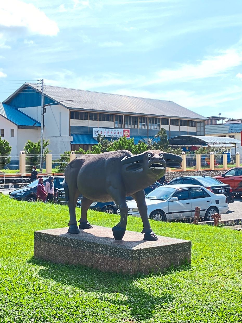 Take a funny photo with the Serian buffalo in Sarawak. — ALEXANDER GOH