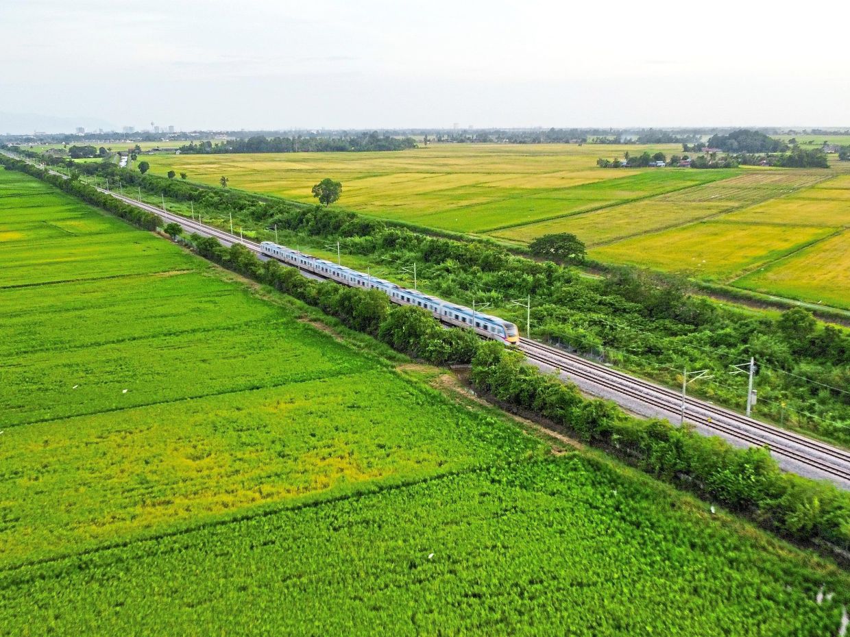 Kedah is known as the ‘rice bowl of Malaysia’ for a reason. — SALIM MOHAMAD