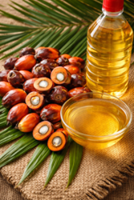 MPOB launches used-cooking-oil price portal to boost transparency, curb price manipulation