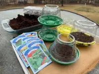 How to save money on garden gear with some creative recycling