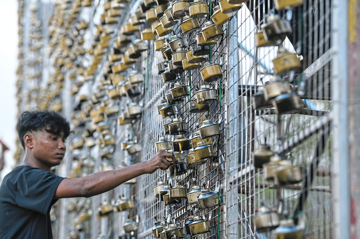 A worker sets the wicks of oil lamps before the start of the oil lamp festival in Taman Jubli Emas.