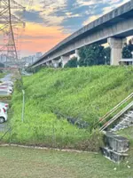 Deal with overgrowth at LRT station carpark