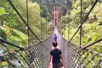 Brunei’s forests drive sustainable growth, green economy: Minister