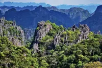 Laos celebrates Hin Nam No National Park gaining world heritage status