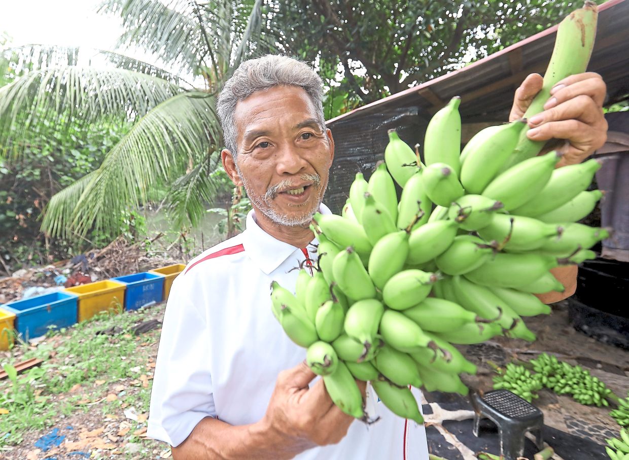 For Mohamed Jais, farming has given him a sense of purpose and belonging.