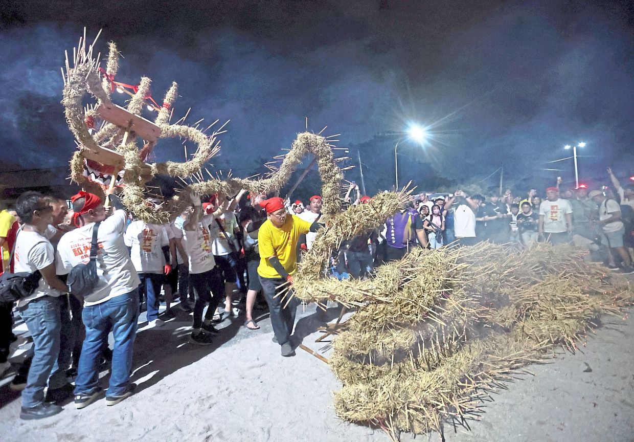The fire dragon being prepared to be carried through Pandamaran New Village with its long straw body coiled on the ground.