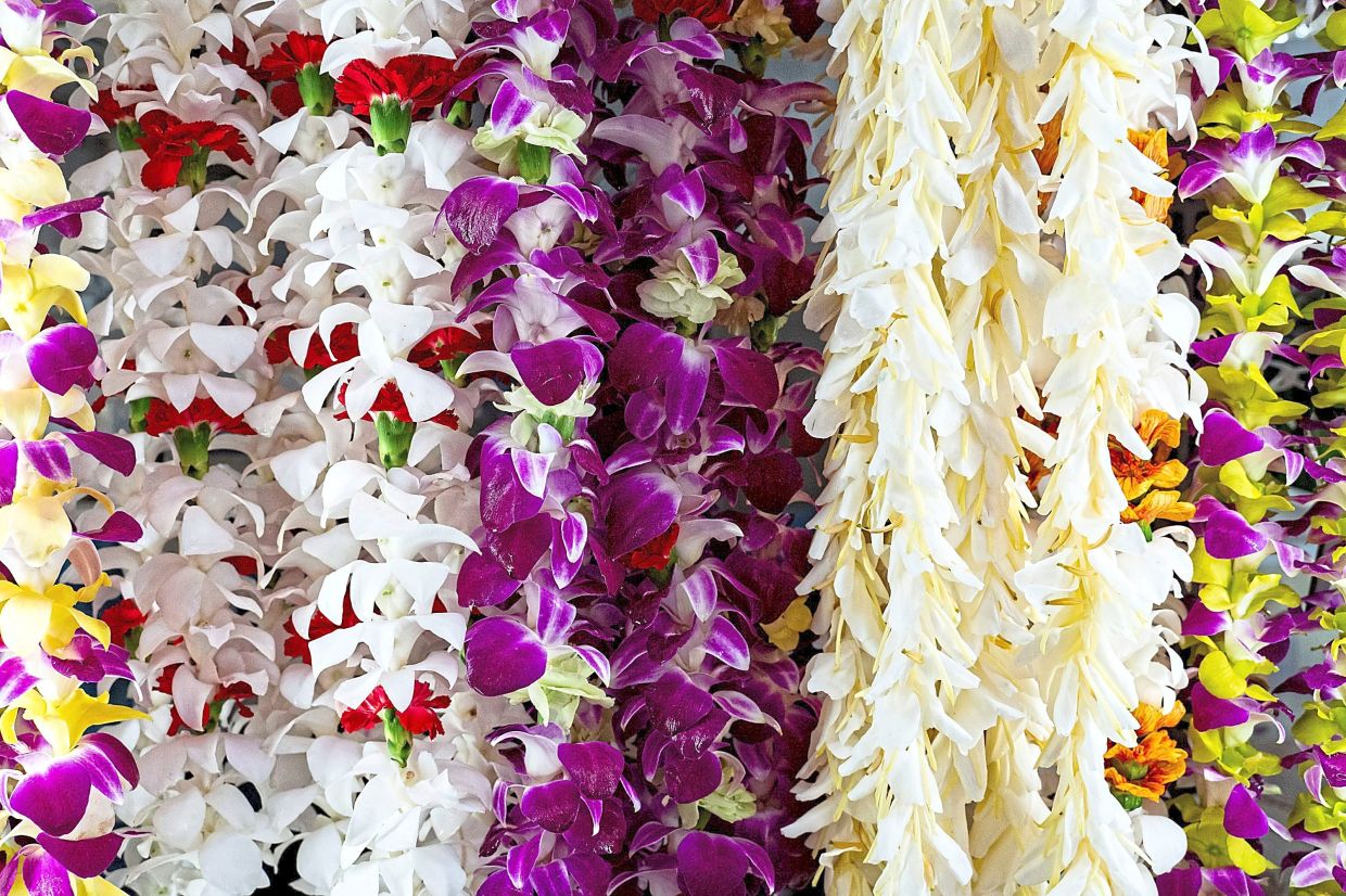 Nicht alle Hawaii-Urlaubs-Leis werden aus einheimischen Blumen hergestellt ...