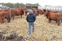 Fertiliser shock escalates as new supply risks emerge