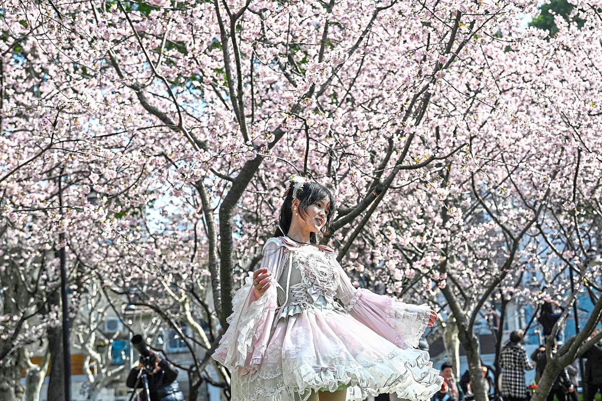 2. A woman dressed in a lolita-style dress posing beneath blooming cherry blossoms at a park in Shanghai, China. — AFP