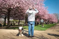 Pretty petals on parade