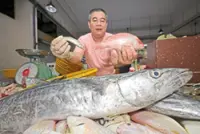 Protect habitat to halt dwindling numbers