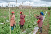 A rare debate about inequality