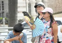 Heatwave grips states up north