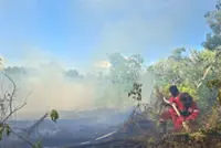 Forest fires sweep Batam, threatening electrical supply, flights