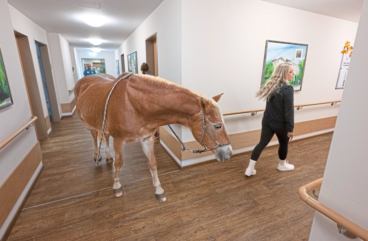 Wega follows Plassmeier on the way to the dining room at the Hyggegarten nursing home in Lower Saxony.