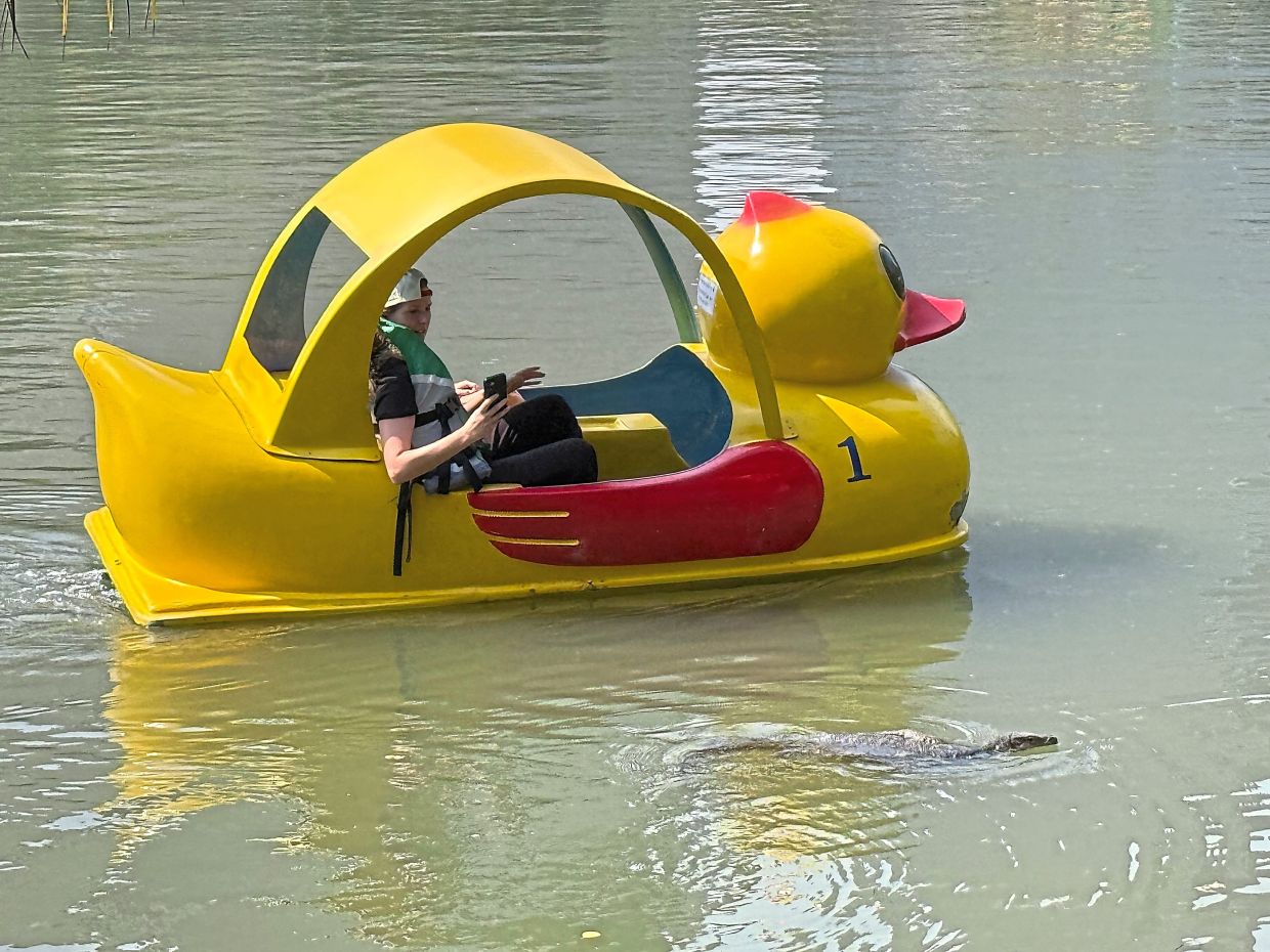 Tourists observe monitor lizards from a pedal boat in Lumphini Park.
