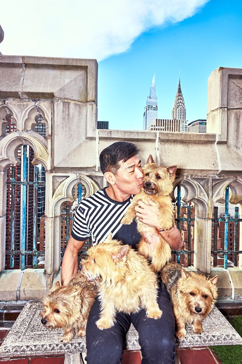 The pet wellness industry is booming, as owners face high prices for grooming