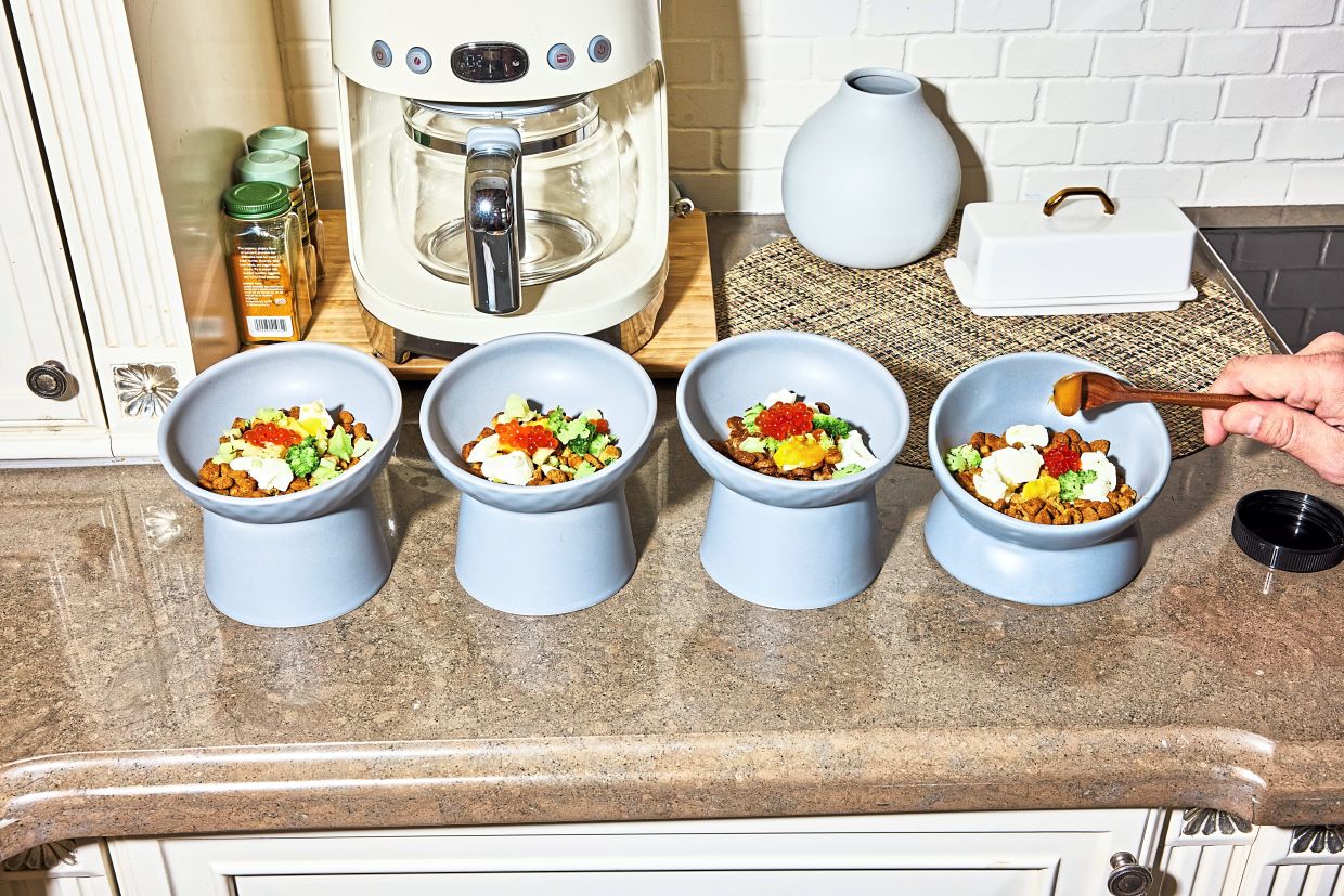 Cheow prepares a meal for his four Norwich terriers that includes dry food, soft-boiled eggs, broccoli florets, salmon roe and manuka honey.
