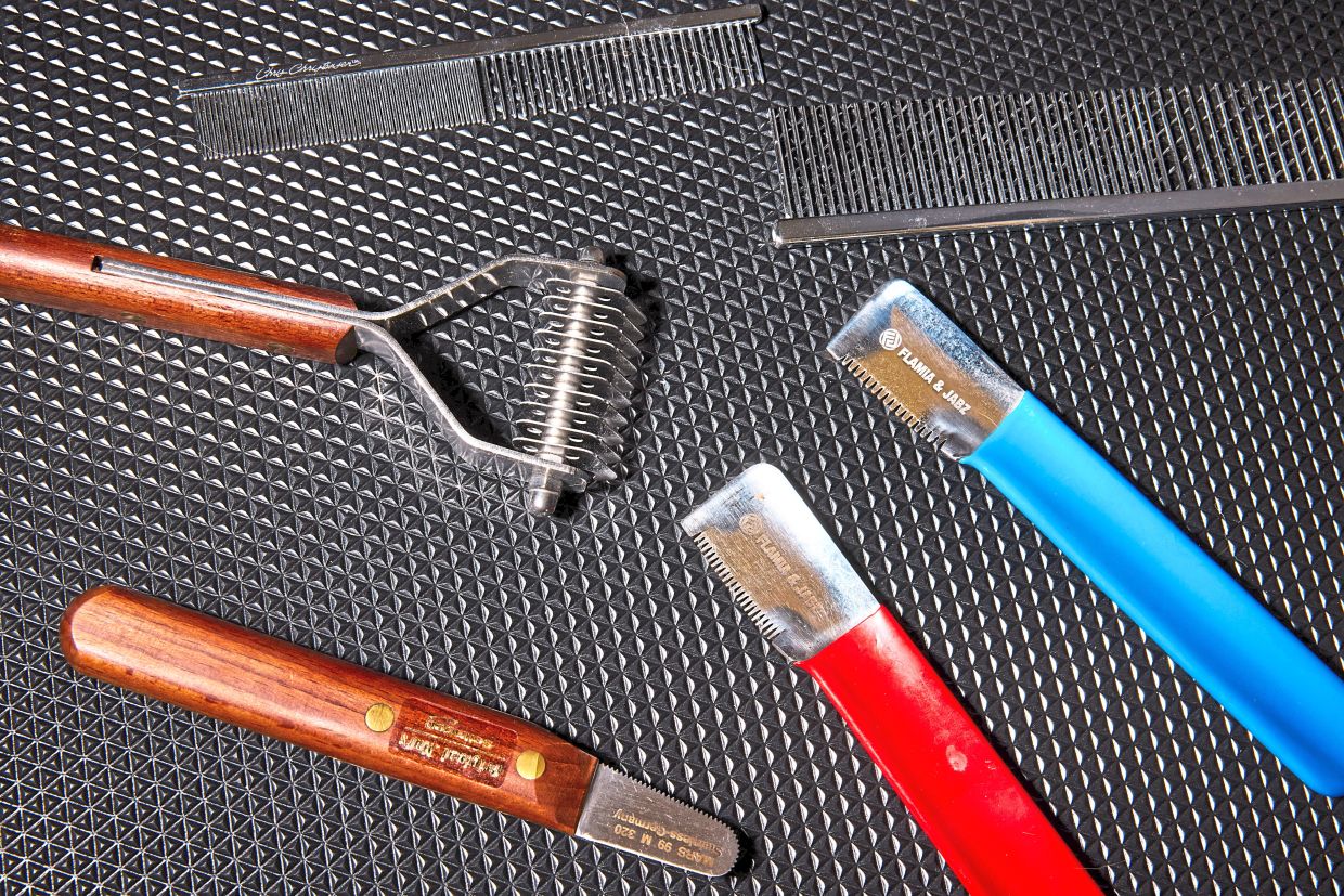 Some of the grooming tools Giang uses to groom her dog.