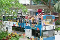 Needy treated by hotels, malls