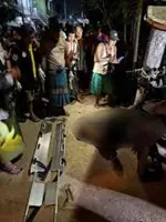 Phone snatcher killed in motorcycle crash while fleeing in Yangon