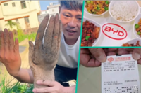 China yam with human ‘fingernails’, 260 free meals, lottery win after lifetime of playing