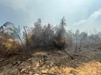 Pengerang forest fire: 120ha controlled, 30ha still burning