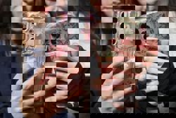 Britain pilots social media bans, time limits and curfews for children