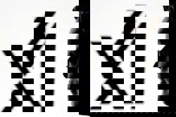 Baltimore sues Elon Musk's xAI over Grok sexual 'deepfakes'