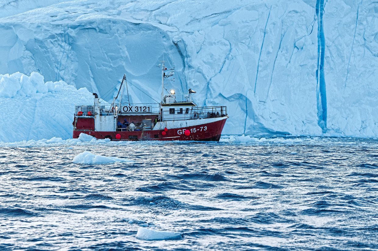 A fishing boat pulls a net up with fish in front of an iceberg at Disko Bay near Ilulissat.