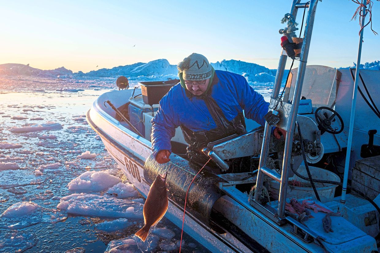 A fisherman catches halibut at Disko Bay.