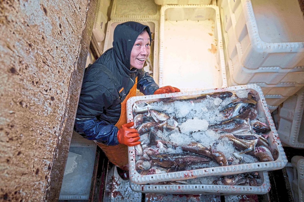 A fisherman unloads boxes with fish from a boat in Nuuk harbour.