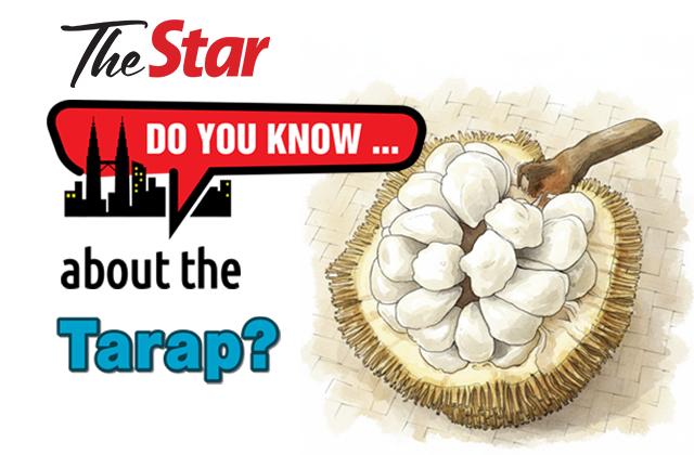 Do you know... about the Tarap?