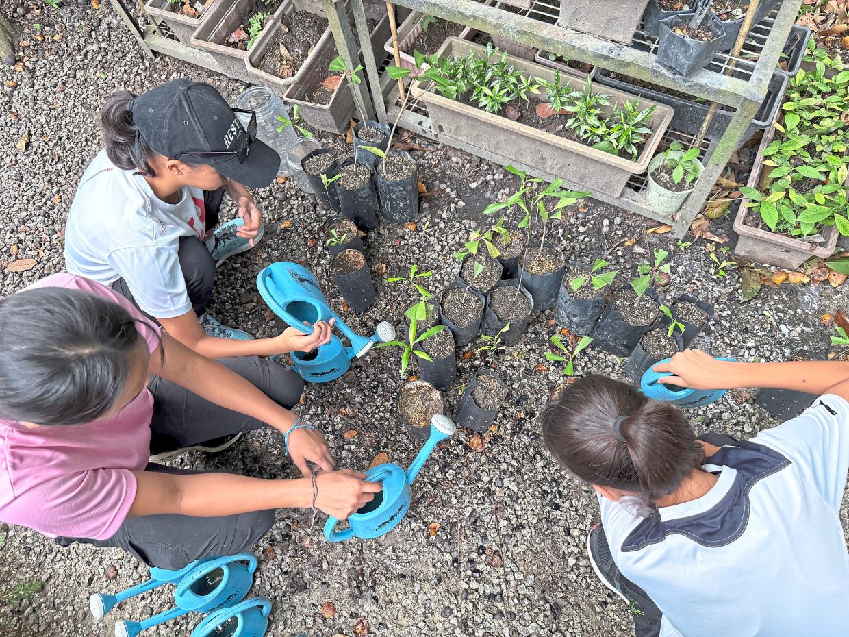 Kirsten, Siobhan and Janyn replanting trees at Taman Tugu, KL. Photo: Edward Loh