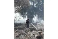 Major forest fire in Johor under control