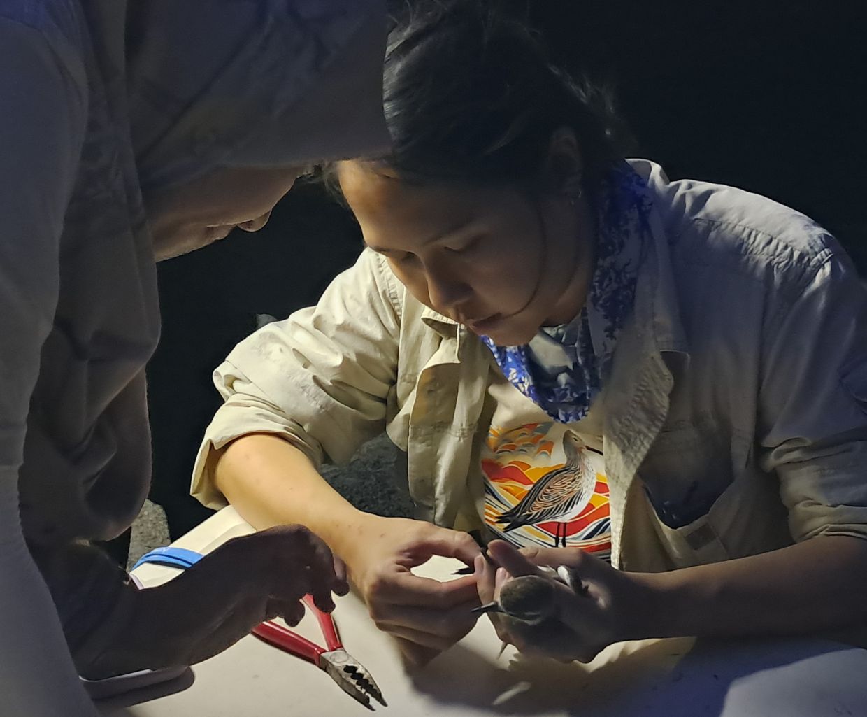 Malaysian Nature Society ornithologist and wetlands conservation officer Jacelyn See Choon Min.