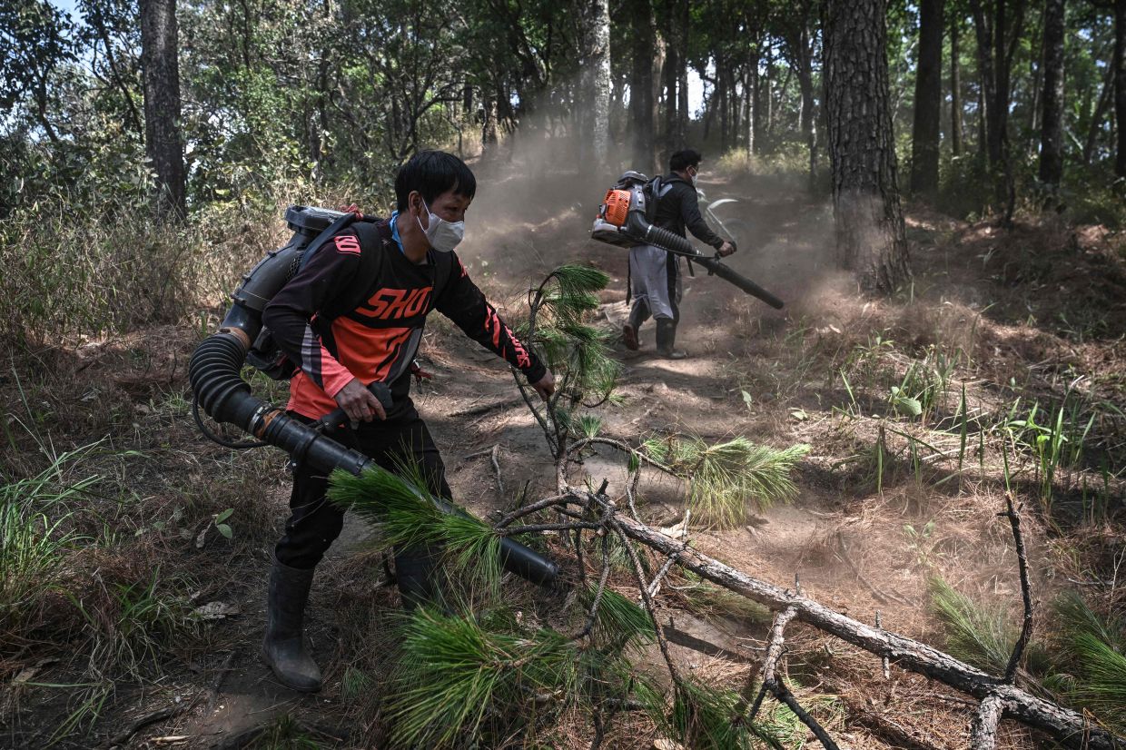 Volunteer firefighters from Hmong Doi Pui village using leaf blowers to clear a firebreak in the Doi Suthep-Pui National Park area of Chiang Mai. In the dry-season heat of northern Thailand, Hmong, villagers zip through forested slopes, blasting dry leaves with leaf blowers and cutting through brush with machetes, while others scan for smoke on live feeds from their phones. -- Photo by Lillian SUWANRUMPHA / AFP