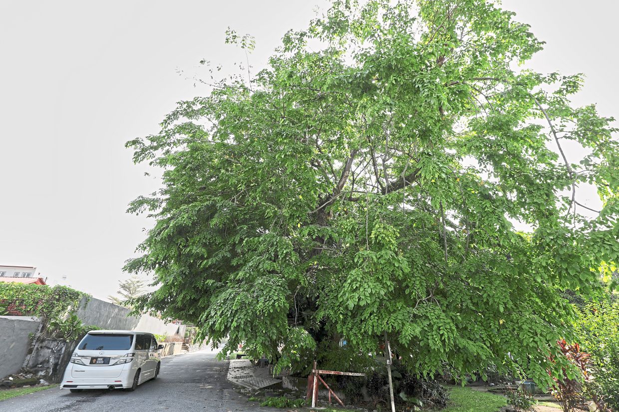 Sorry! Image not available at this time