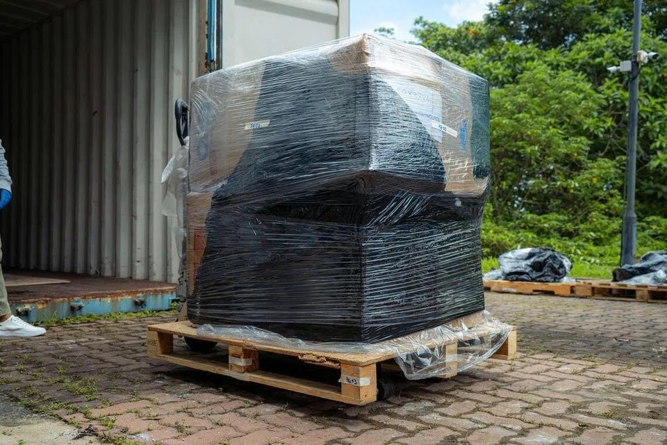 The cargo was intercepted by Immigration and Checkpoints Authority officers in Jurong on Dec 29, 2025, after detection systems and image analysts noticed anomalies. - Photo: NATIONAL PARKS BOARD